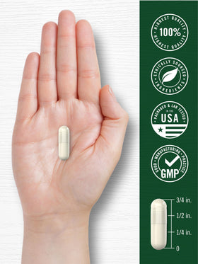 Carlyle Extrait de Feuille de Molène 200 Capsules sur un fond de nature