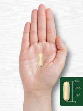 Carlyle Extrait de Racine de Réglisse 900mg capsules ouvertes