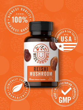 Carlyle Gélules d'Extrait de Champignon Reishi avec une main