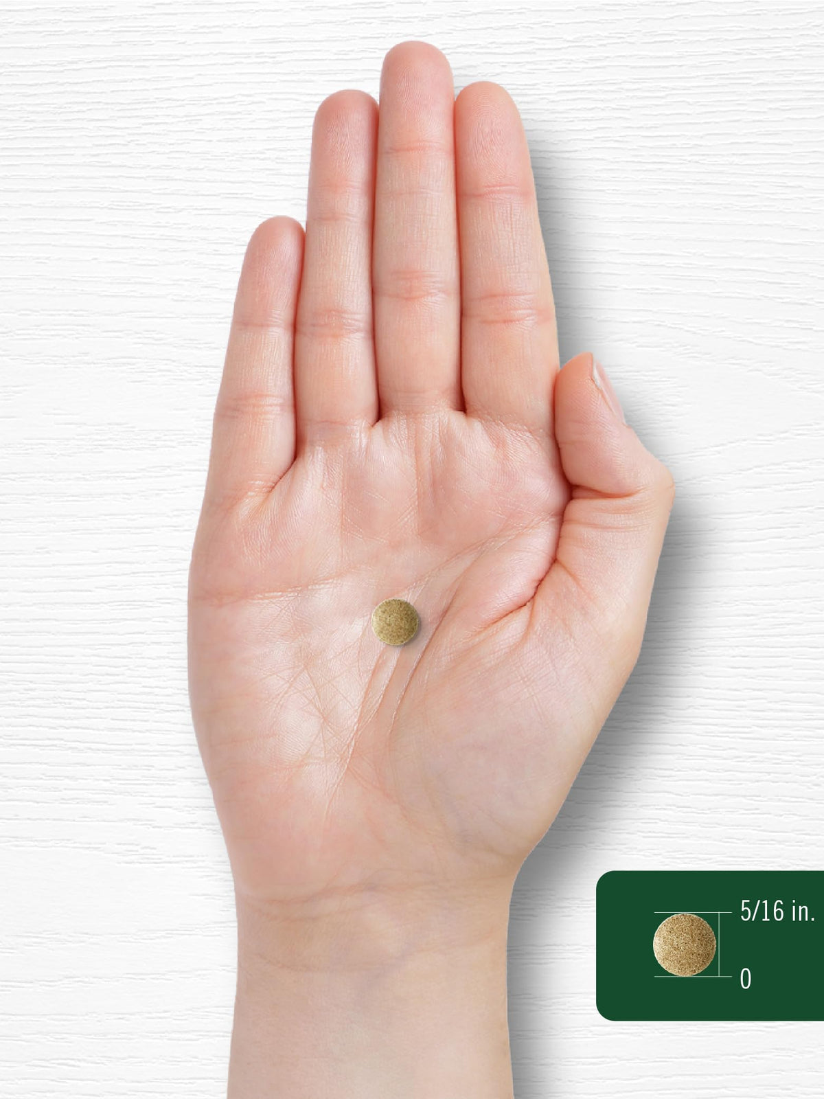 Carlyle Ginkgo Biloba flacon sur un fond de nature