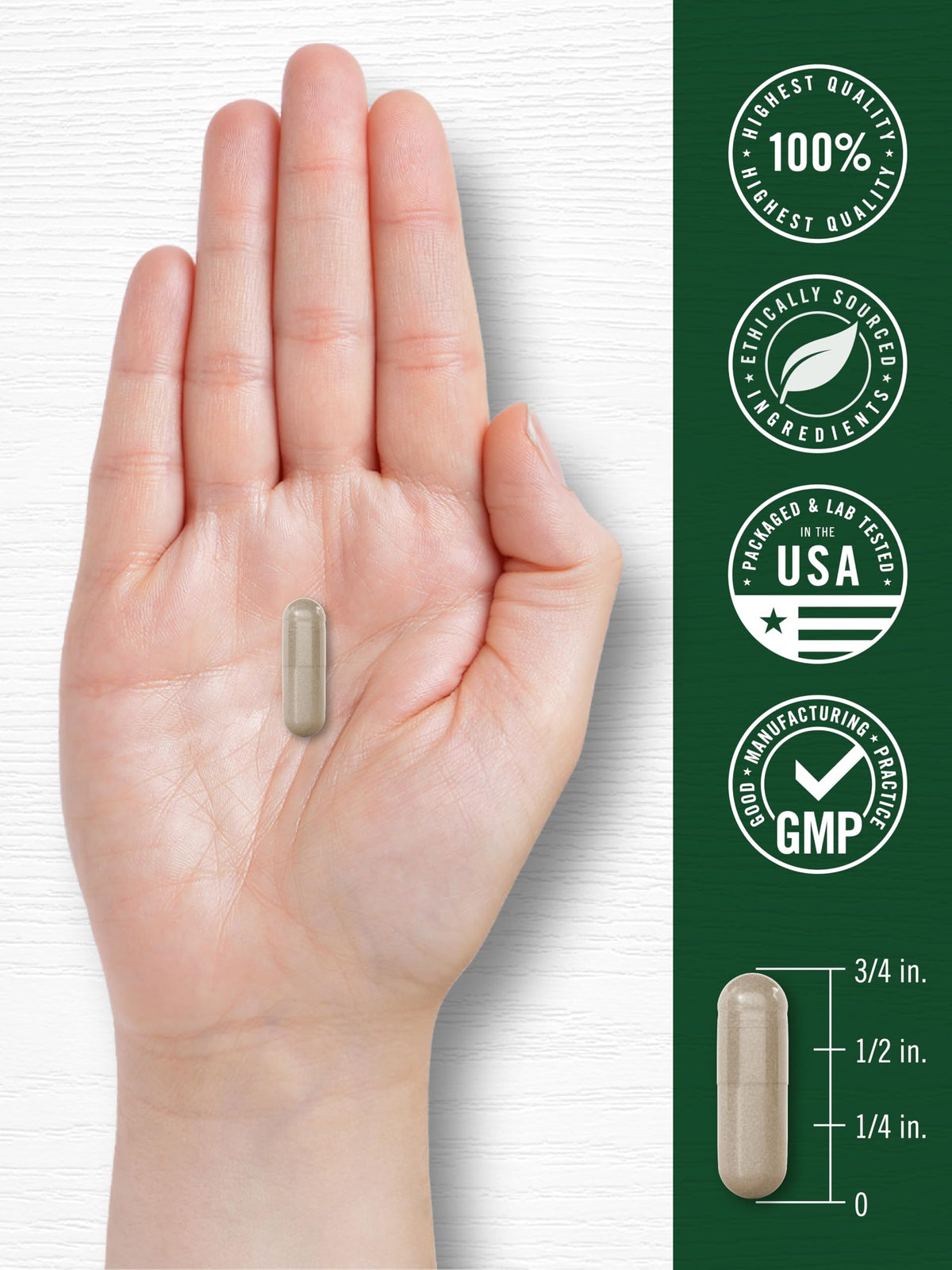 Carlyle Ginseng & Ginkgo Biloba 120 gélules végétariennes emballage