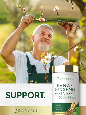 Carlyle Ginseng & Ginkgo Biloba gélules végétariennes en main