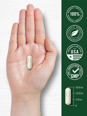 Carlyle Glycinate de Magnésium gélules sur un fond naturel