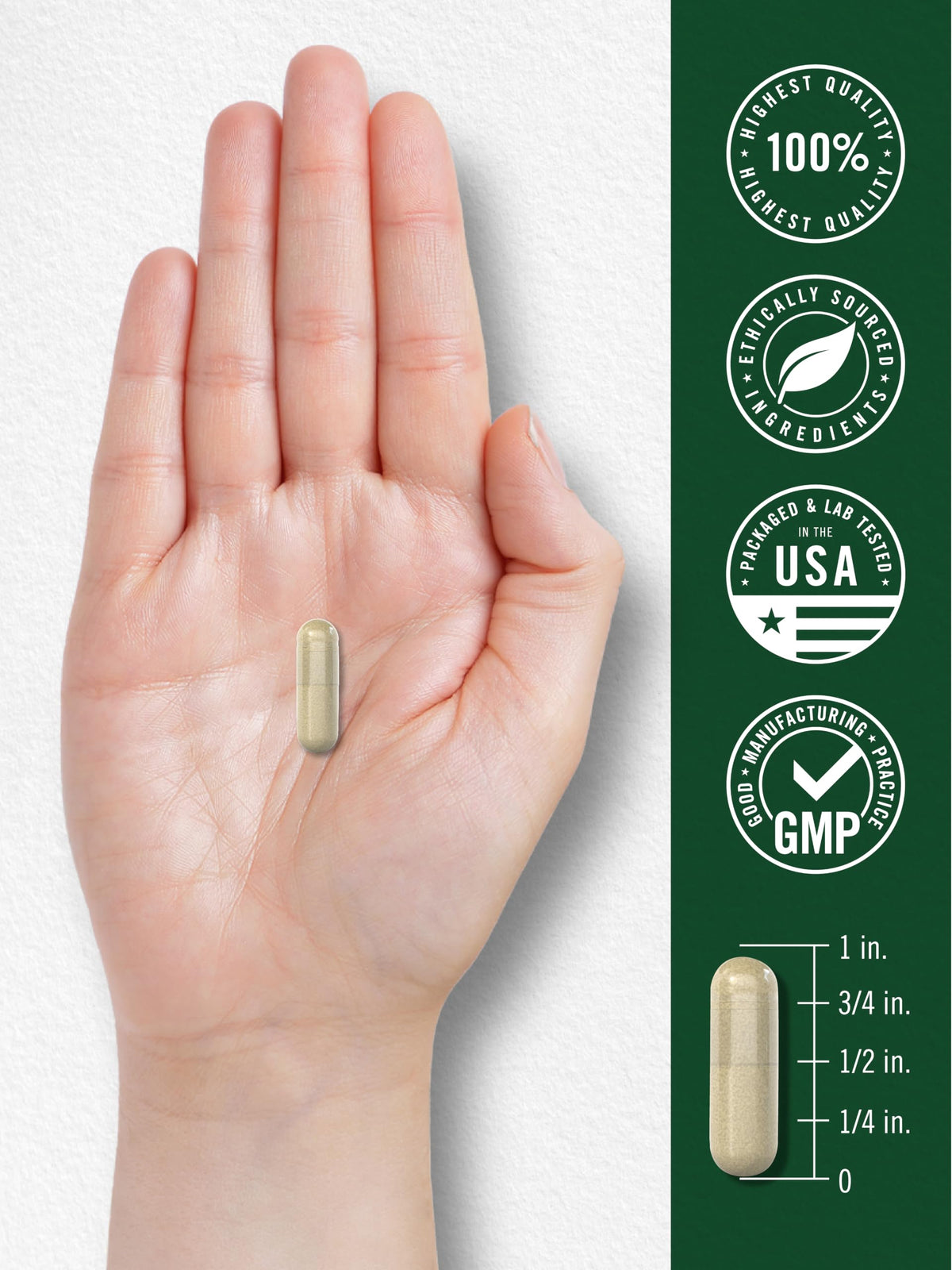 Carlyle Gymnema Sylvestre Capsules sur une table en bois