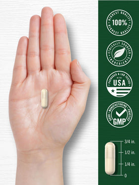 Carlyle Haricot Blanc 200 capsules avec ingrédients naturels