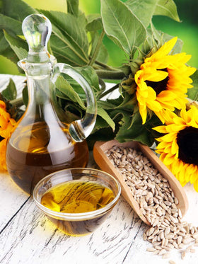Carlyle Lécithine de Tournesol Liquide 16 fl oz sur une table