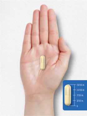 Carlyle Multi Collagène 2000mg 300 capsules avec complément alimentaire