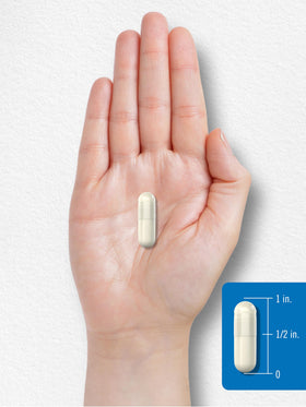 Carlyle Multi-Enzymes 180 capsules avec un verre d'eau
