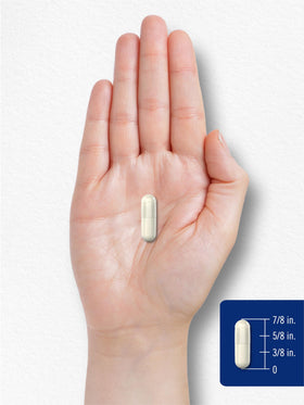 Carlyle Oxyde de Magnésium 500mg boîte avec inscription
