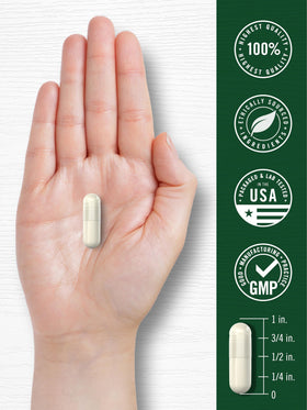 Carlyle packaging des capsules Sulforaphane 400 mcg