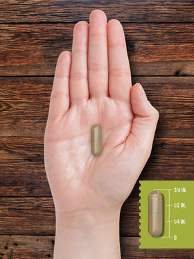 Carlyle Pancréas de Boeuf 550mg 200 Capsules - prise en main