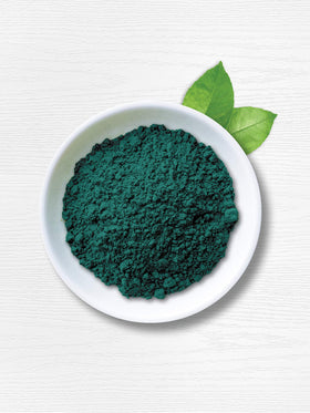 Carlyle Poudre de Spiruline Bio, mesure de la poudre dans une cuillère