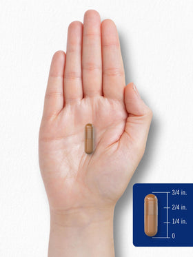 Carlyle PQQ Complément Alimentaire 20 mg prise de vue lifestyle