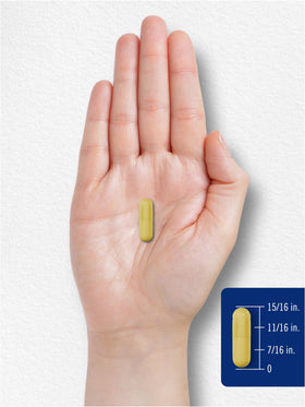 Carlyle Quercétine Capsules avec une main tenant la bouteille