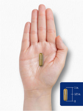 Carlyle Riz Rouge avec CoQ10, présentation produit sur table