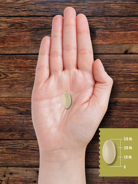Carlyle Tallow de Bœuf Élevé à l'Herbe 3120mg capsules molles en gros plan