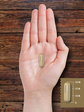 Carlyle Thymus de Bœuf 2100mg 200 capsules en usage