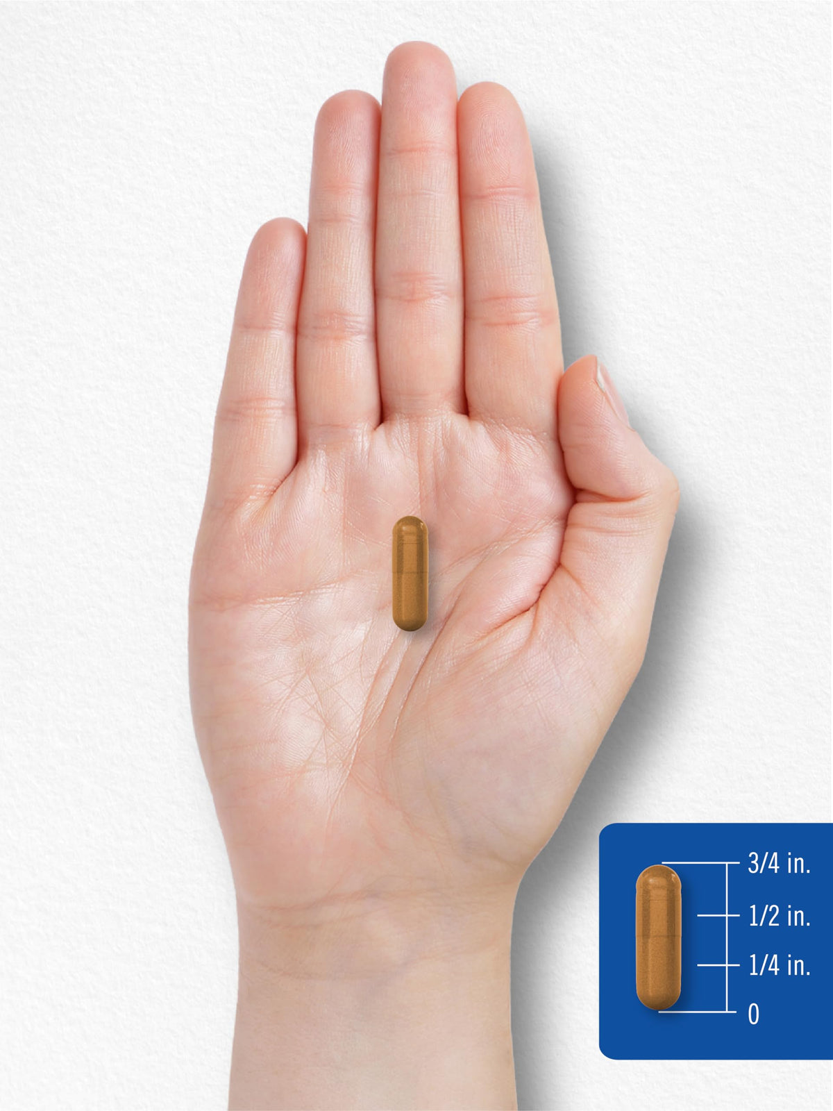 Carlyle Vitamine B2 200mg gélules dans un environnement de santé