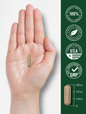 Carlyle Vitex Chasteberry Capsules avec étiquette de qualité
