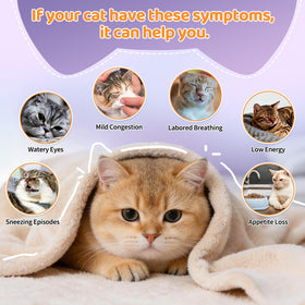 Carmelie friandises pour chats, boîte ouverte avec chews