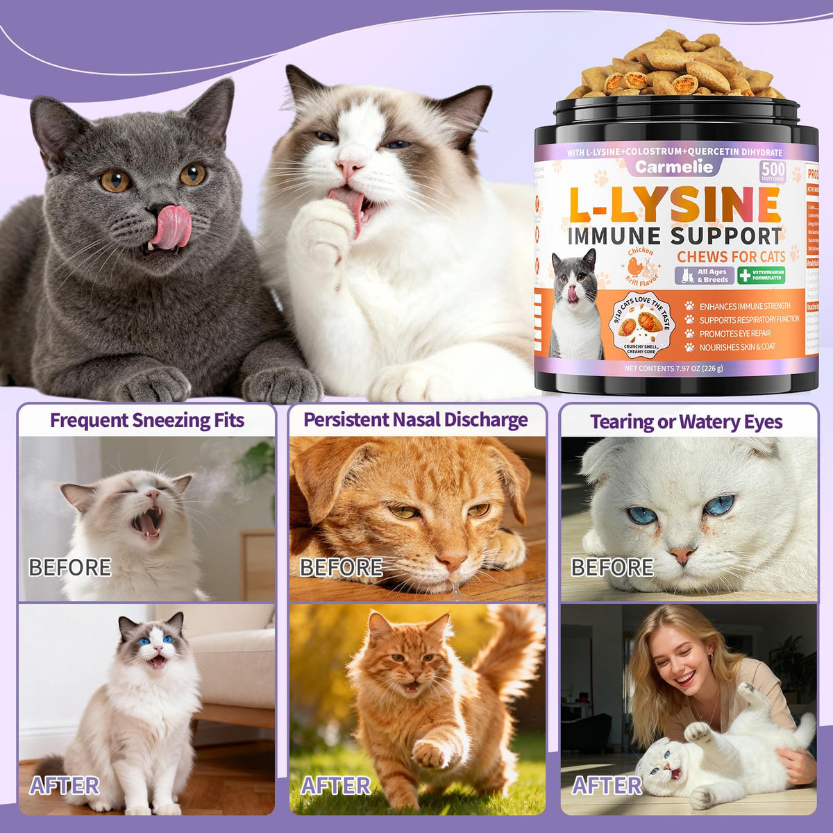 Carmelie friandises pour chats, présentation sur une surface
