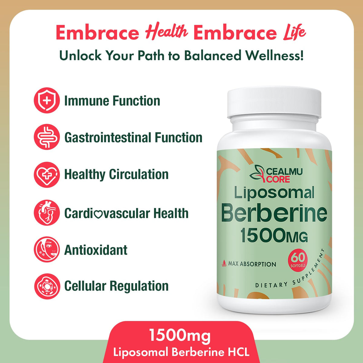 CEALMU CORE Berbérine 1500mg arrière de la boîte avec ingrédients