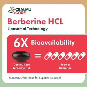 CEALMU CORE Berbérine 1500mg présentée dans un cadre naturel