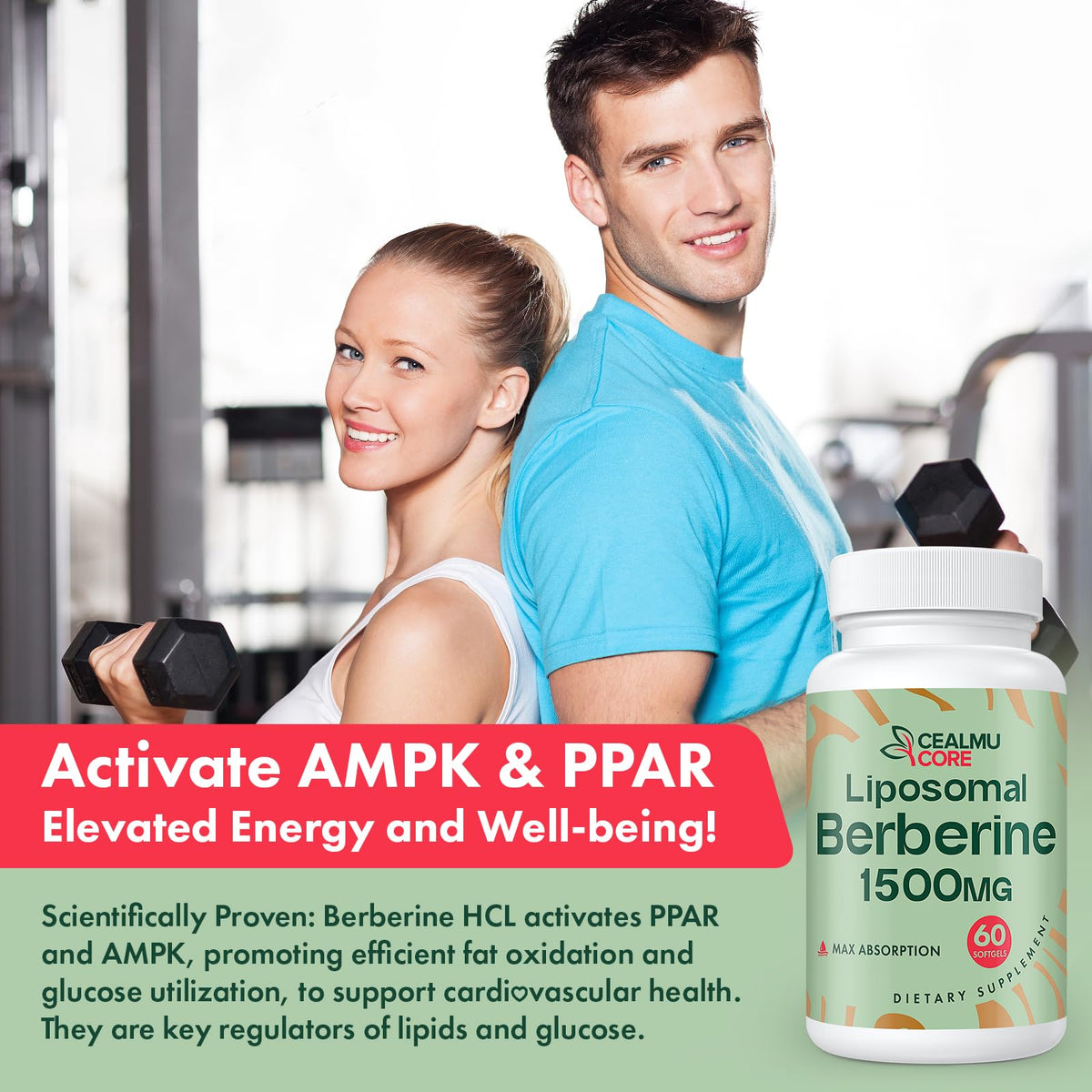 CEALMU CORE Berbérine 1500mg vue de dessus des capsules