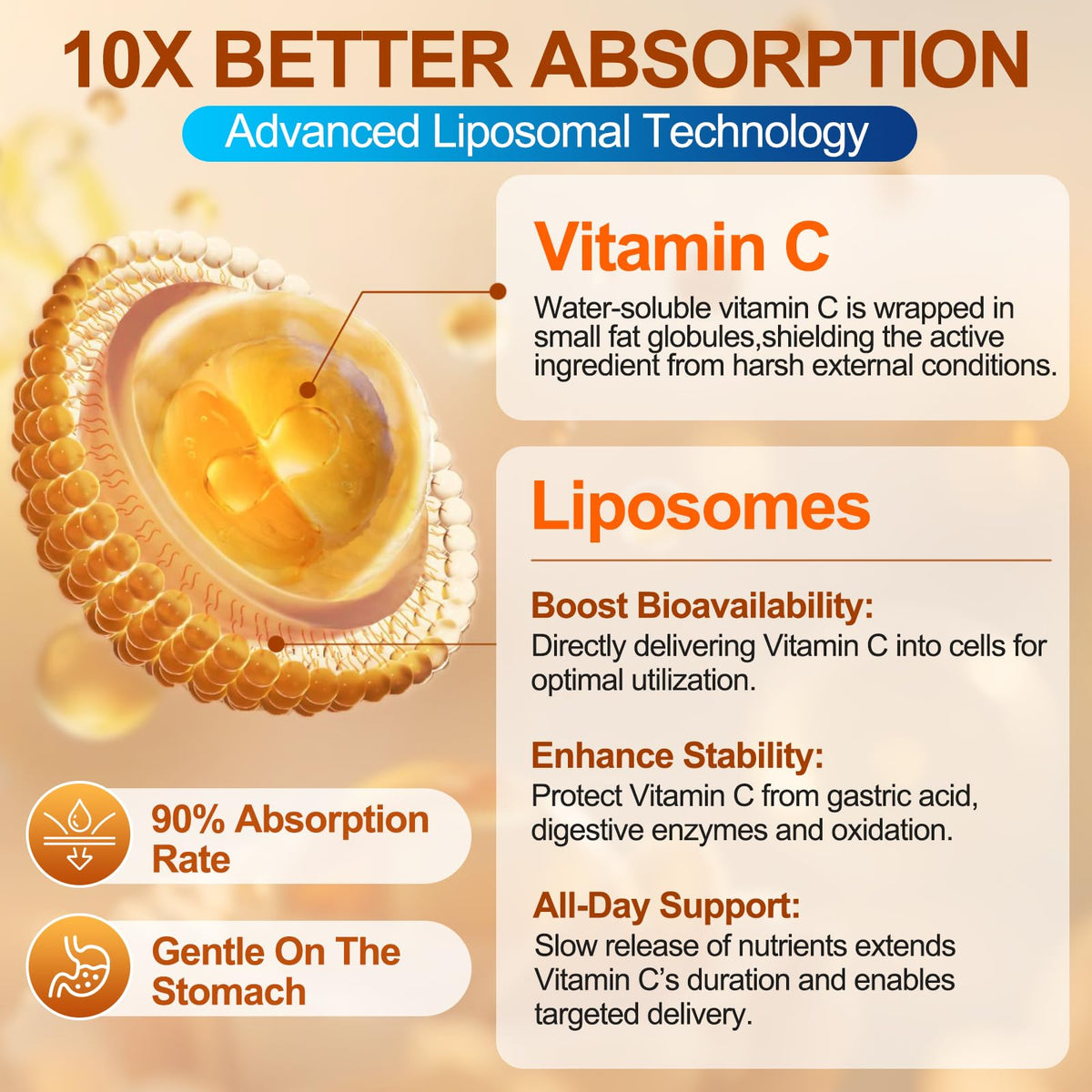 Ceecisee Gummy Vitamine C Liposomale 400g côté