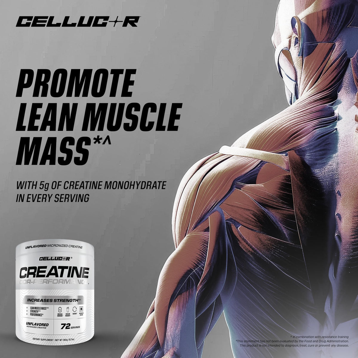 Cellucor Cor-Performance Créatine Monohydrate 72 portions en utilisation
