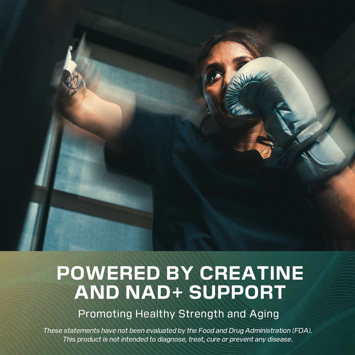 Cellucor Longevity créatine + NAD+ poudre avec cuillère doseuse