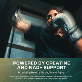 Cellucor Longevity créatine + NAD+ poudre avec cuillère doseuse