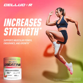 Cellucor Poudre de Créatine 5g 50 Portions emballage ouvert