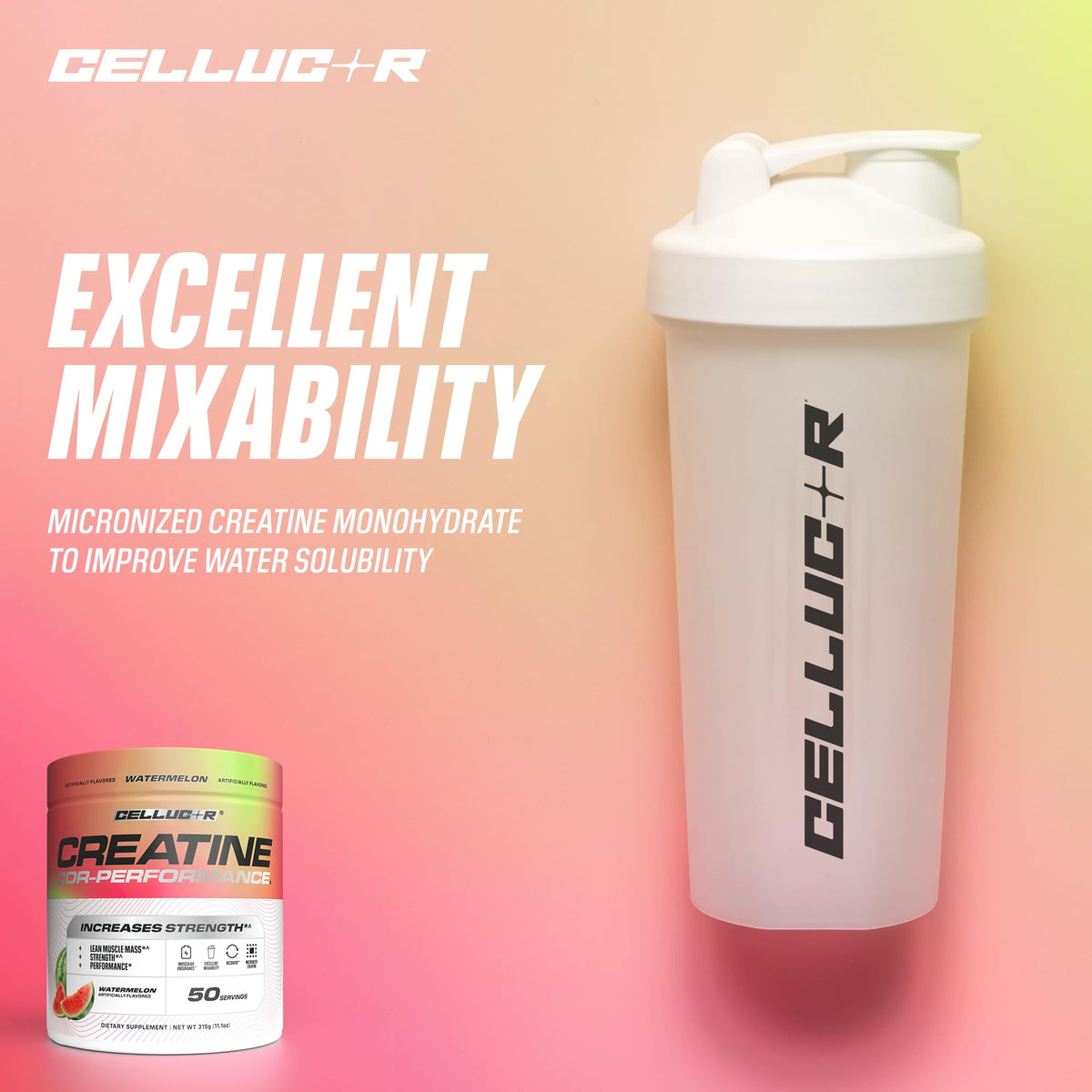 Cellucor Poudre de Créatine 5g 50 Portions sur une table de gym