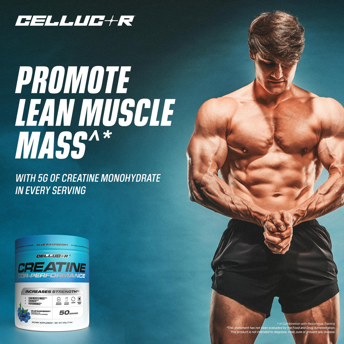 Cellucor Poudre de Créatine 5g avec ingrédients