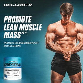 Cellucor Poudre de Créatine 5g avec ingrédients