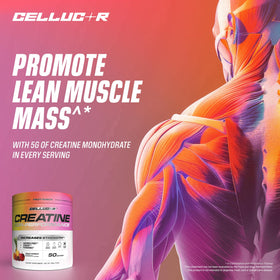 Cellucor Poudre de Créatine 5g, mélange dans un verre d'eau