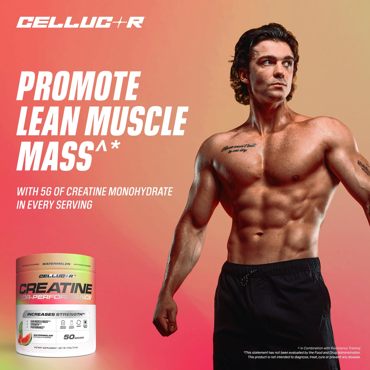 Cellucor Poudre de Créatine 5g saveurs disponibles