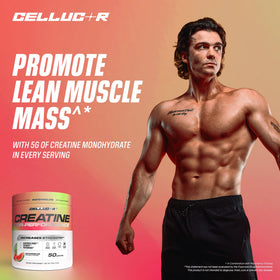 Cellucor Poudre de Créatine 5g saveurs disponibles
