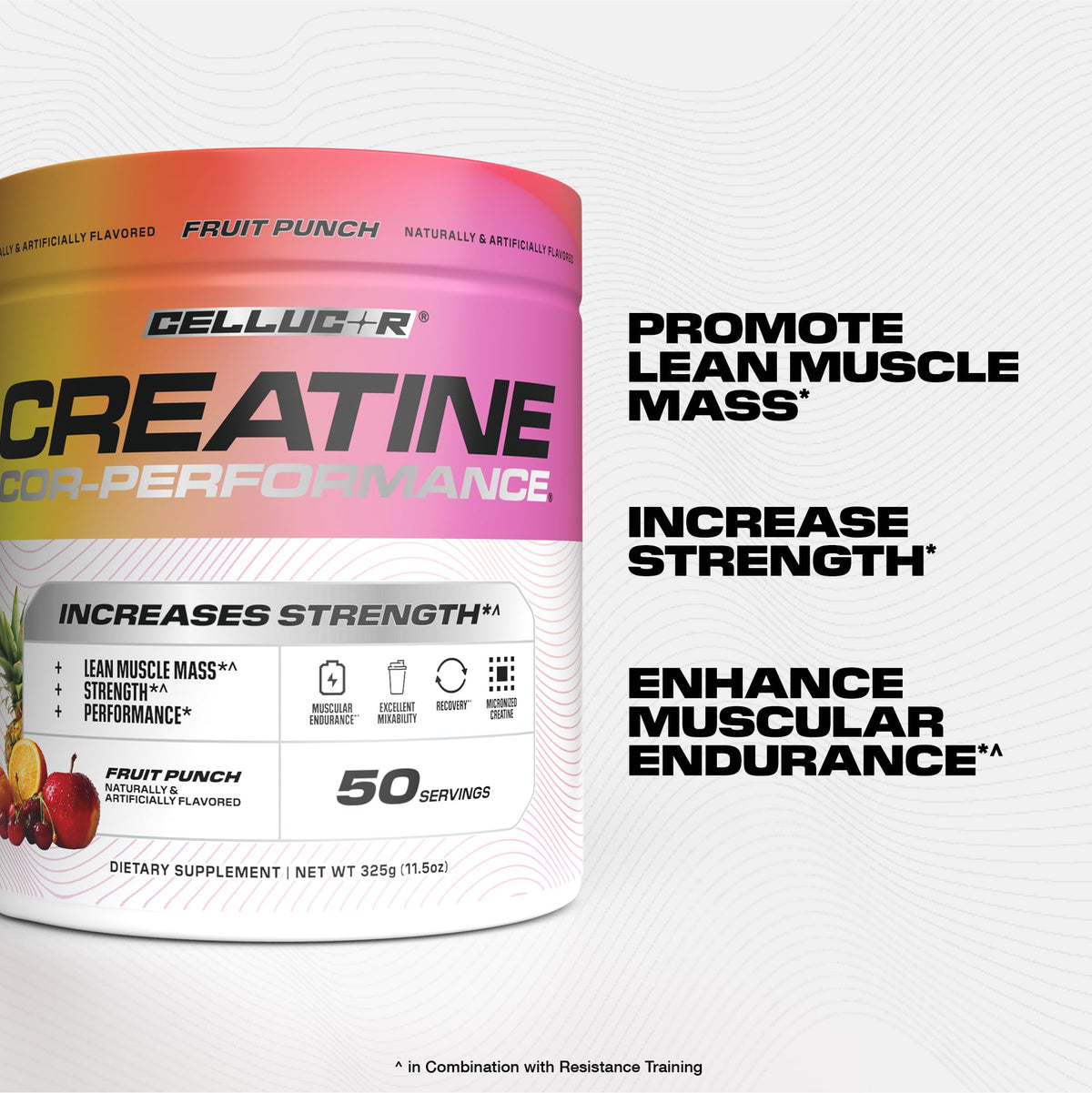Cellucor Poudre de Créatine 5g, vue arrière du pot