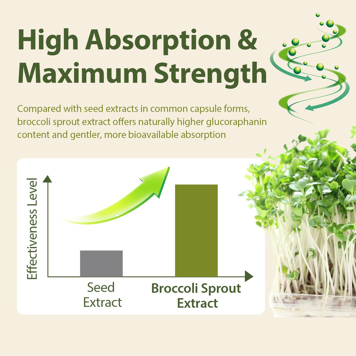 Cenffitio sulforaphane en poudre avec graines de moutarde