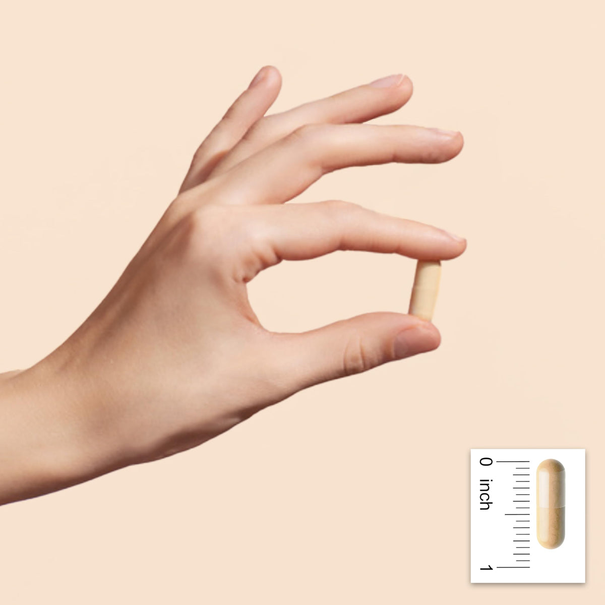 CGMLABS B-Complex Actif 120 gélules végétales vue de côté