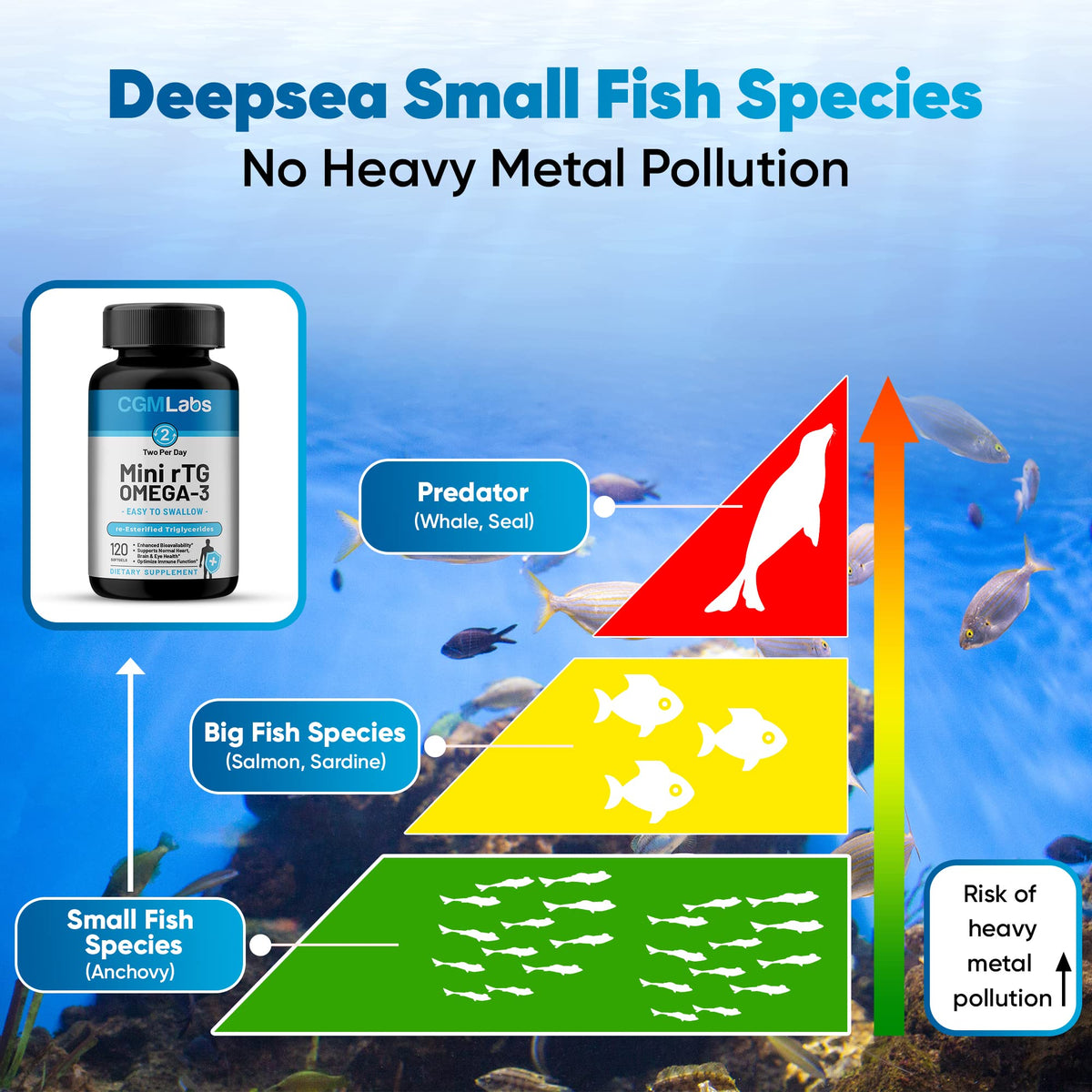 CGMLABS rTG Omega 3 gélules miniatures dans une main