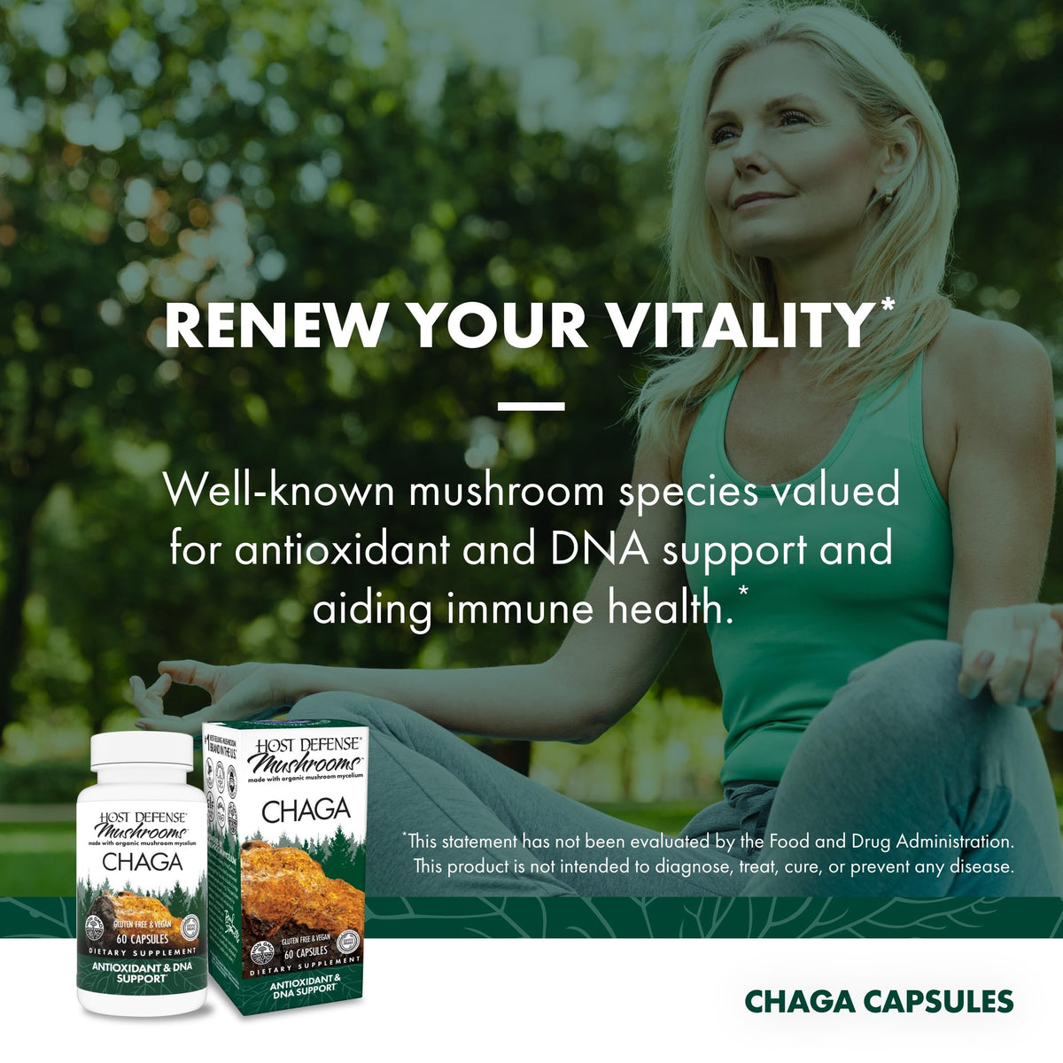 Chaga Host Defense capsules ouvertes sur une table