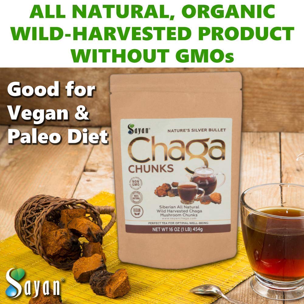 Chaga Sayan 481g à côté d'une théière