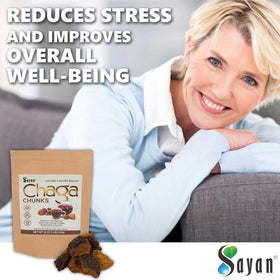 Chaga Sayan 481g avec croûte noire visible