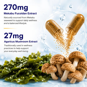 Champignon Agaricus utilisé dans les capsules FINE JAPAN