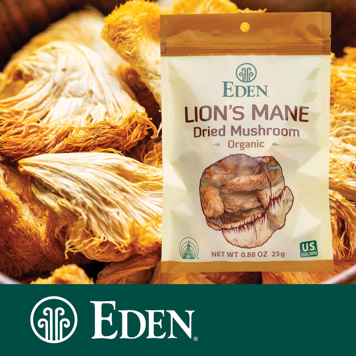 Champignon Lion's Mane bio dans un plat cuisiné
