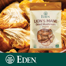 Champignon Lion's Mane bio dans un plat cuisiné