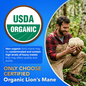 Champignon Lion's Mane entier en arrière-plan avec produit Dalnara